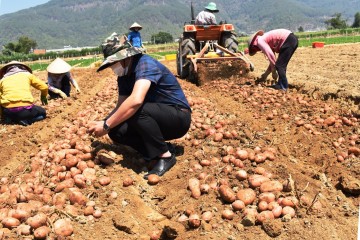 Seonfarm - Thương hiệu nông sản sạch hàng đầu Đà Lạt