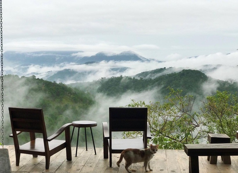 Top 4 quán cà phê view cực xịn ở khu dã chiến Đà Lạt
